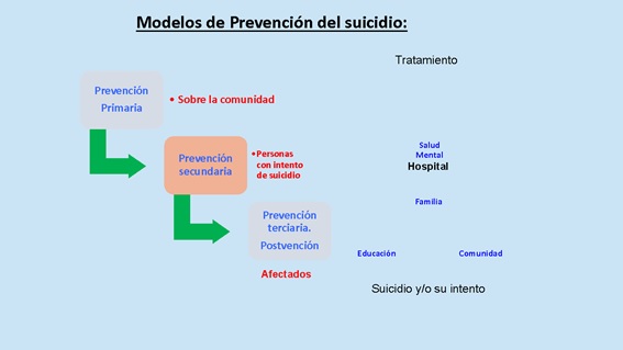 Revista Sinopsis