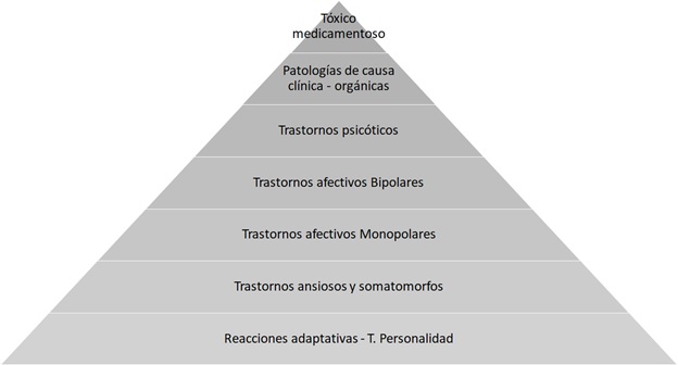 Revista Sinopsis